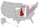 Medical Assistant Schools in Nashua, NH map