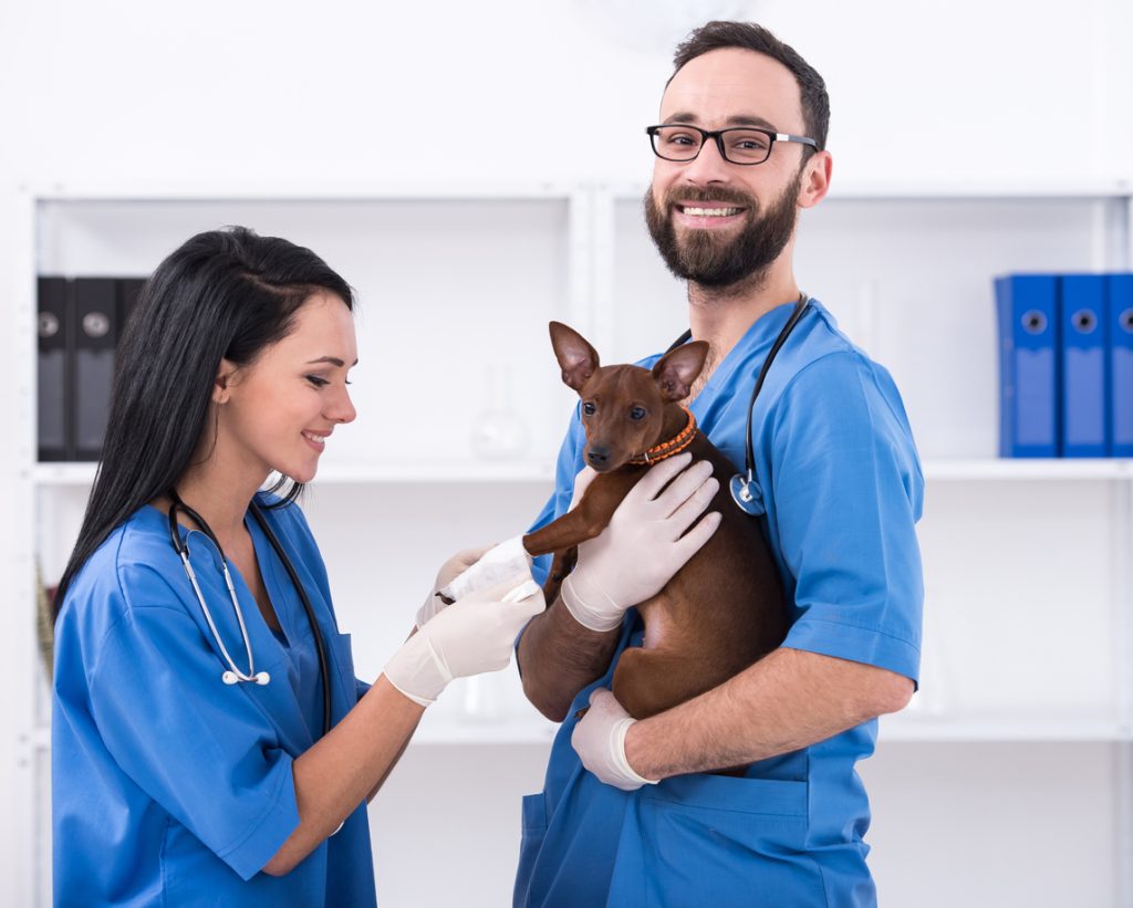 Cons of Being a Veterinary Technician