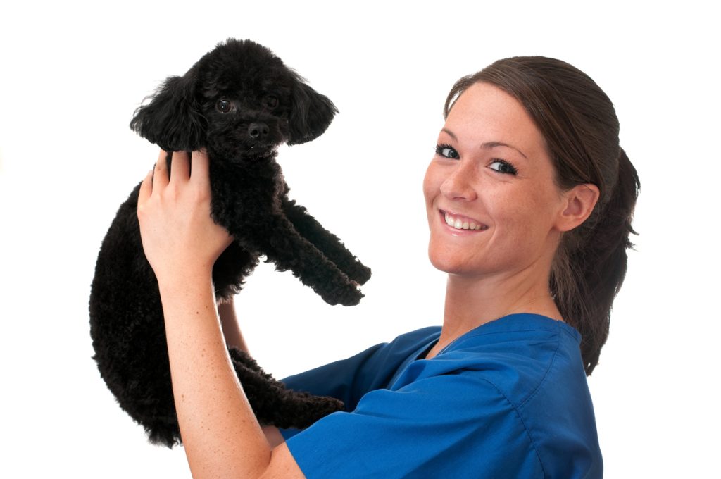 Should You Become a Veterinary Technician