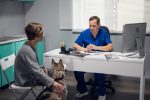 Veterinary doctor examining a sick dog in his office