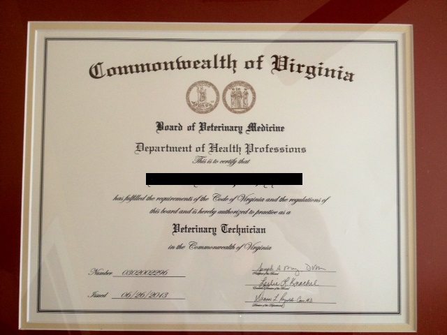 veterinary technician certificate